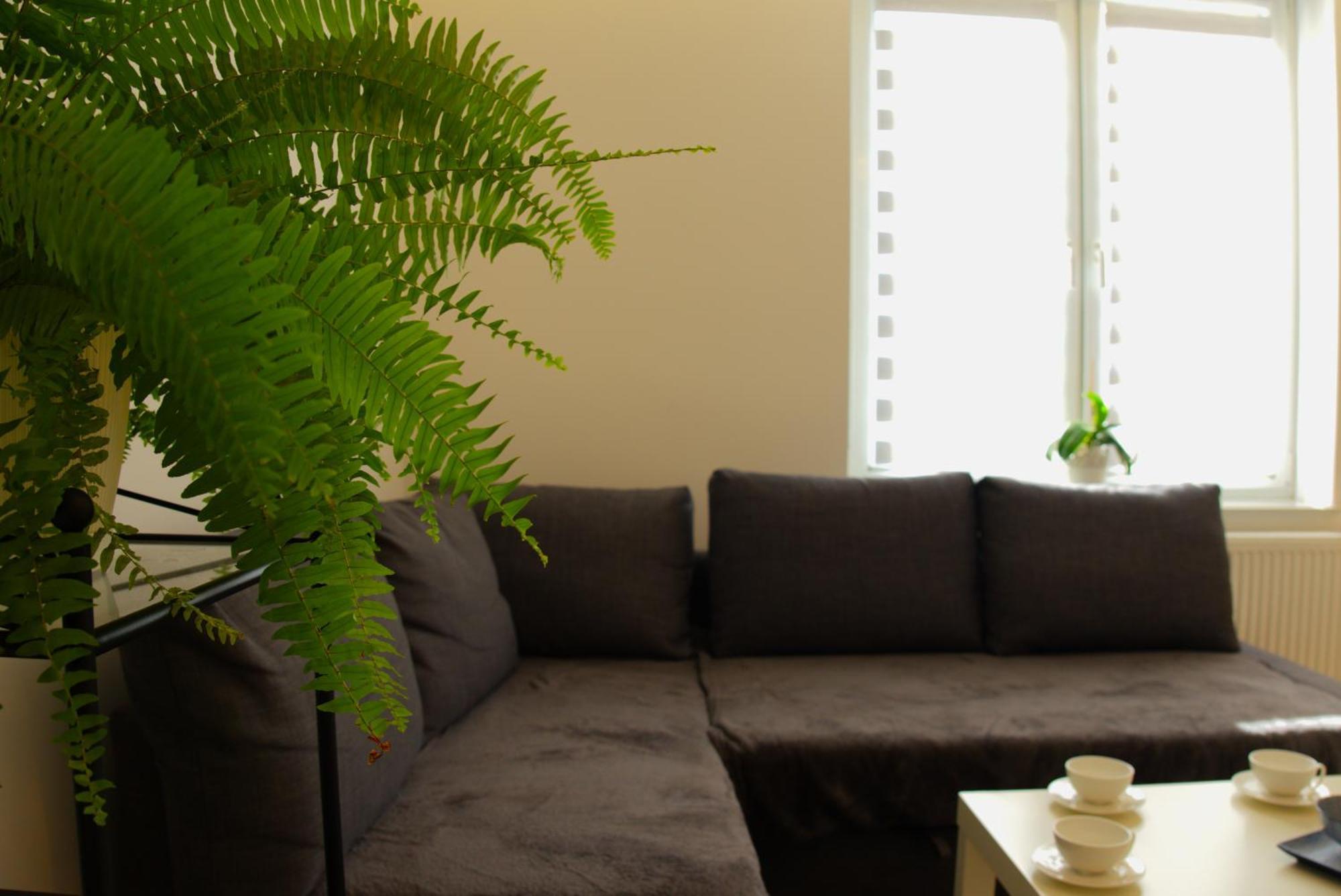 Apartament Centrum Rynek Boleslawiec  Zewnętrze zdjęcie